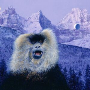 Cliff McReynolds MACAQUE Custom Fine Art Print