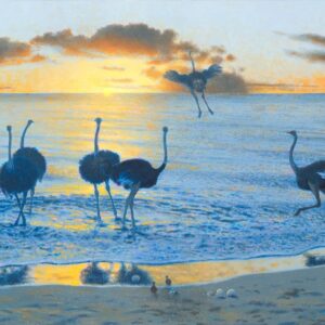 Cliff McReynolds OSTRICHES - CAREER MOTHER Custom Fine Art