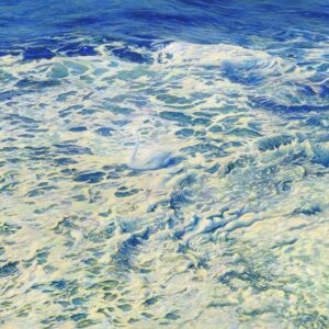 Cliff McReynolds SEA SWAN Custom Fine Art Print